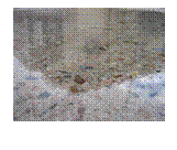 Text Box:  